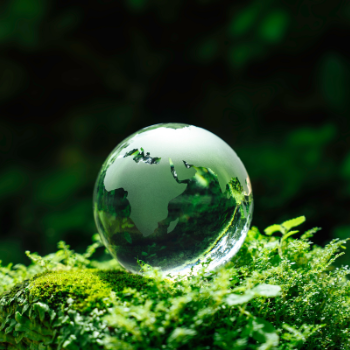 Odpovědné podnikání, udržitelnost, ESG