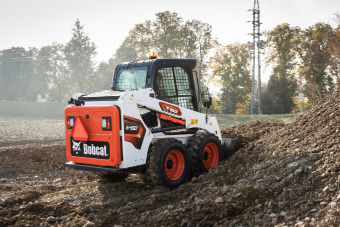 Bobcat